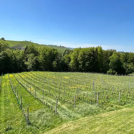 Haus-eckberg 101 ゲストハウス