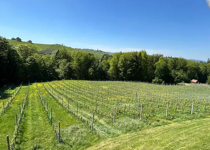Haus-eckberg 101 Maison d'hôtes